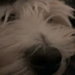 Meet your Posher, Murieee